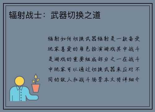 辐射战士：武器切换之道